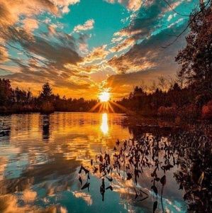 Meet your Posher, Aaryanna